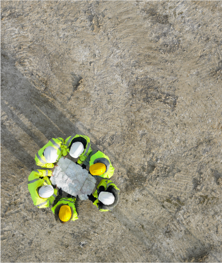 Construction<br>Administration