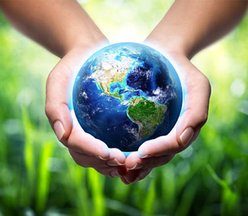 Sustainable/Green Design